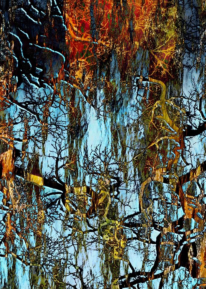 Branches