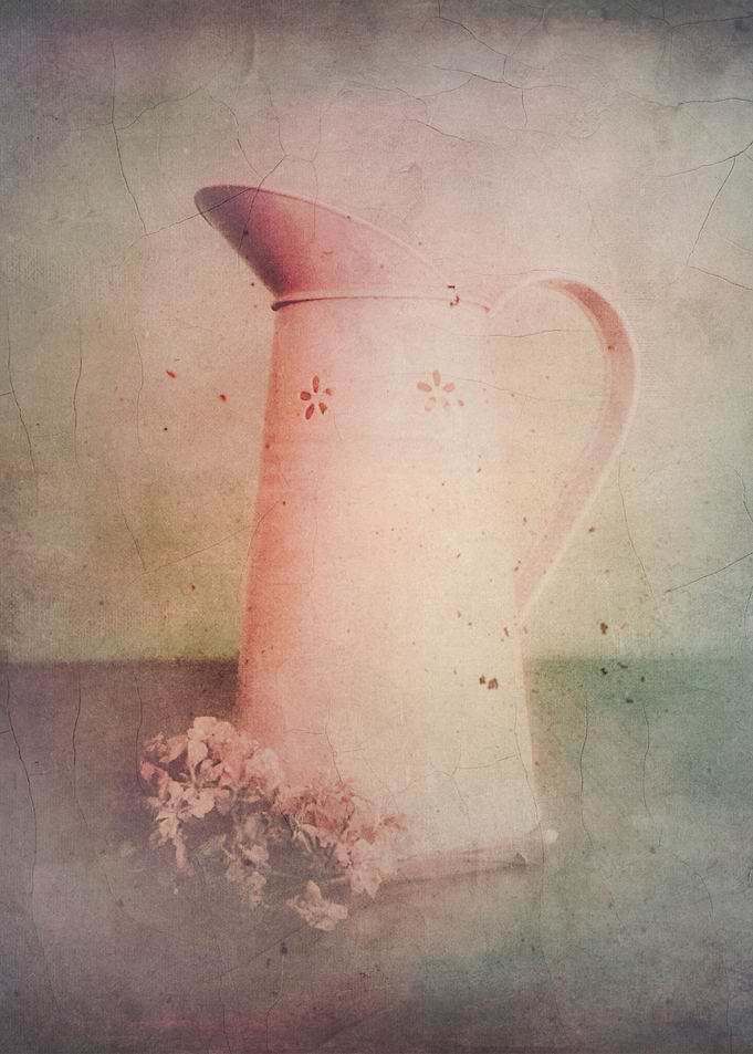Vintage Color Still Life