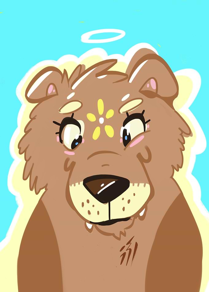 Sasha the bear