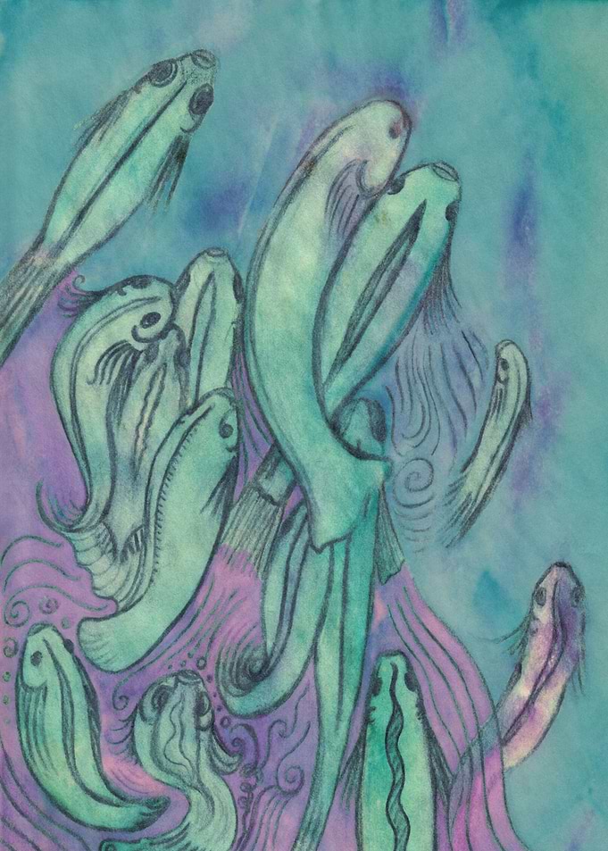 The Fish Below