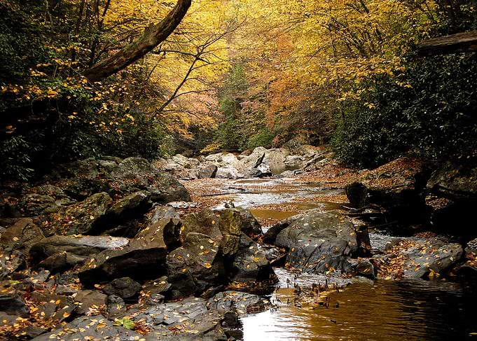Autumn Creek