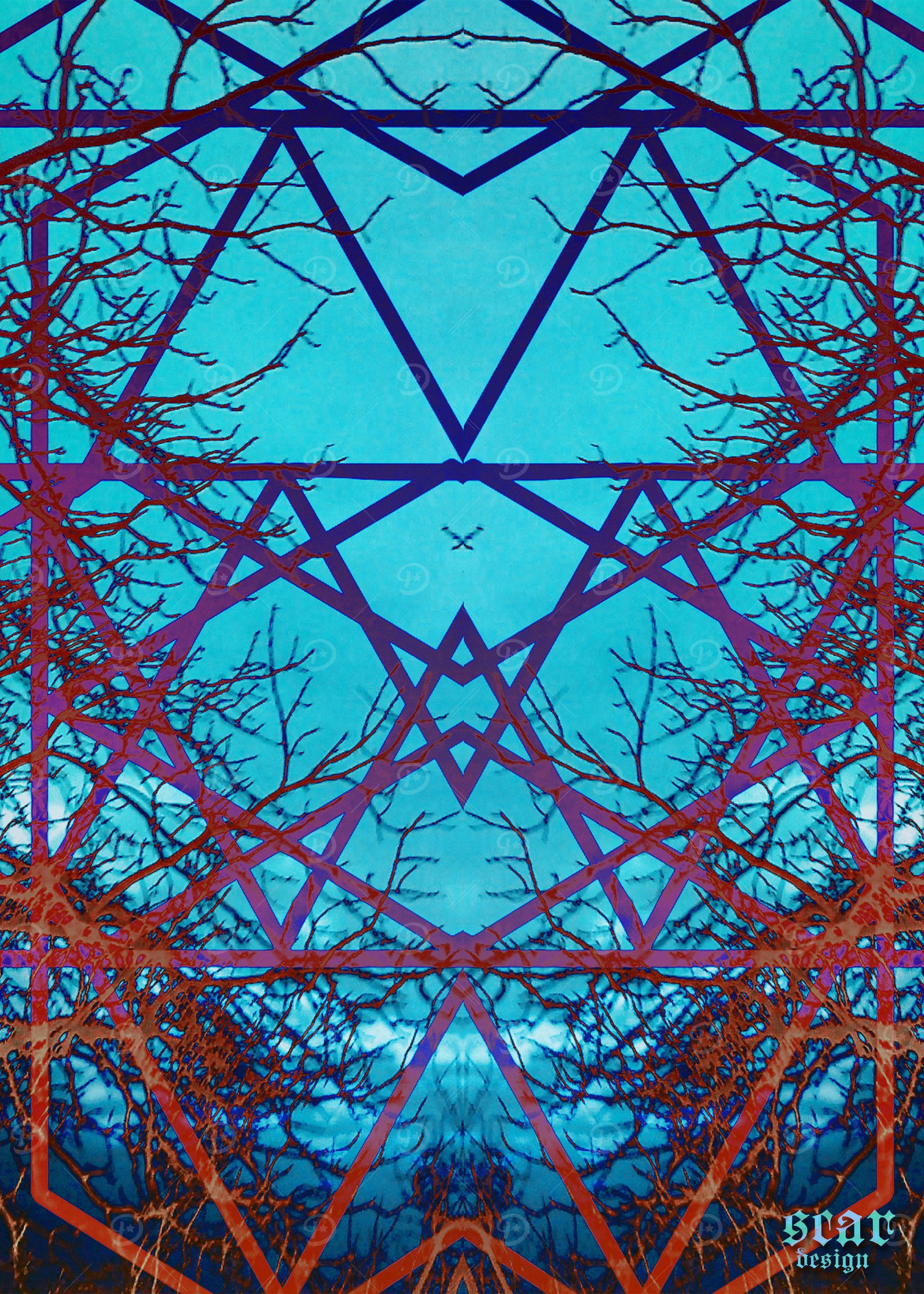 Neurons