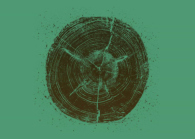 Timber