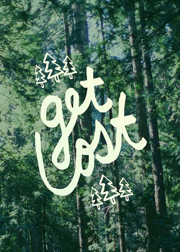 Get Lost - Muir Woods