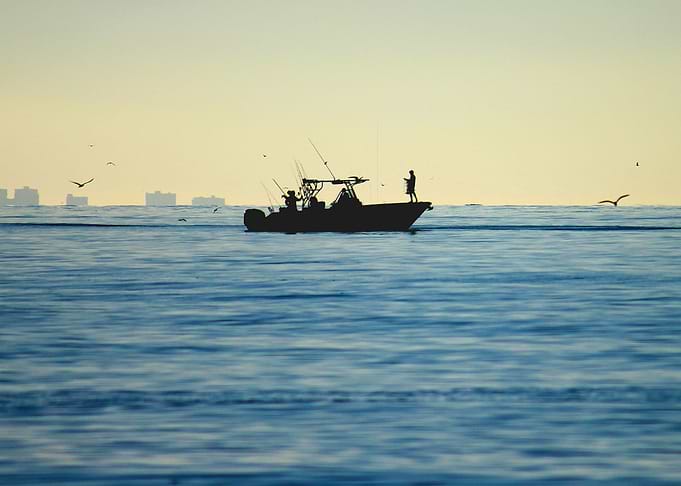 Early Morning Fishing