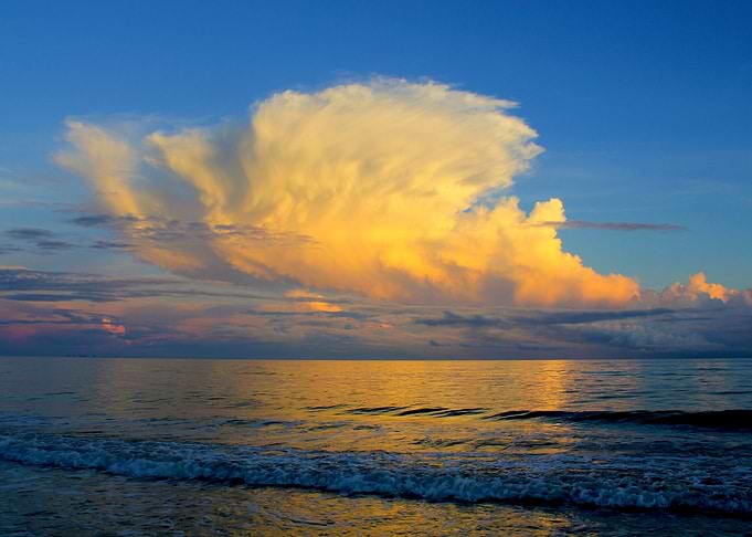 Golden Sunset