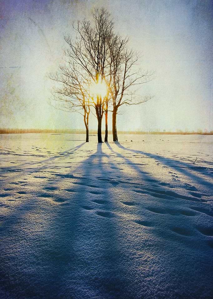 Winter Sun
