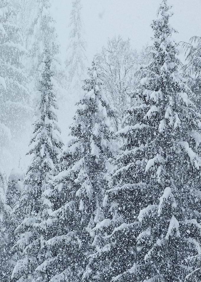Let it snow...