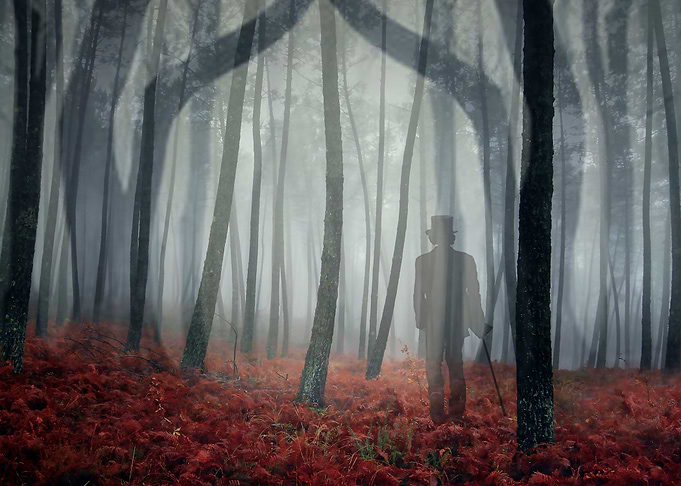 Into the Light