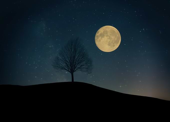 Starry Night