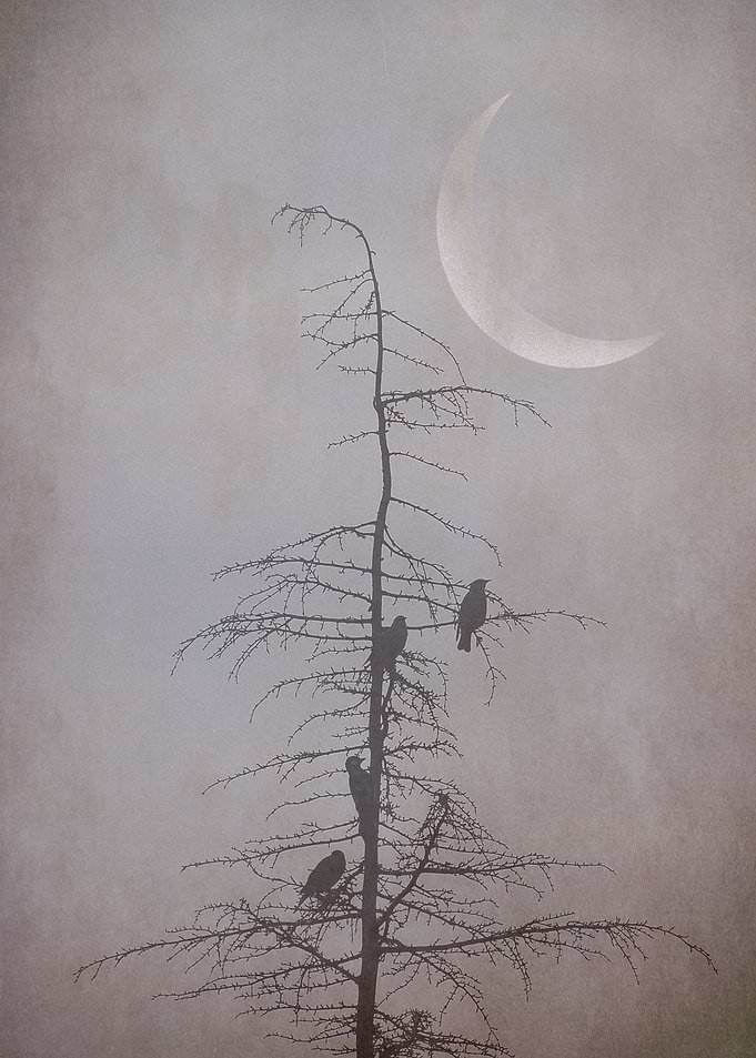 Some kind of magic
