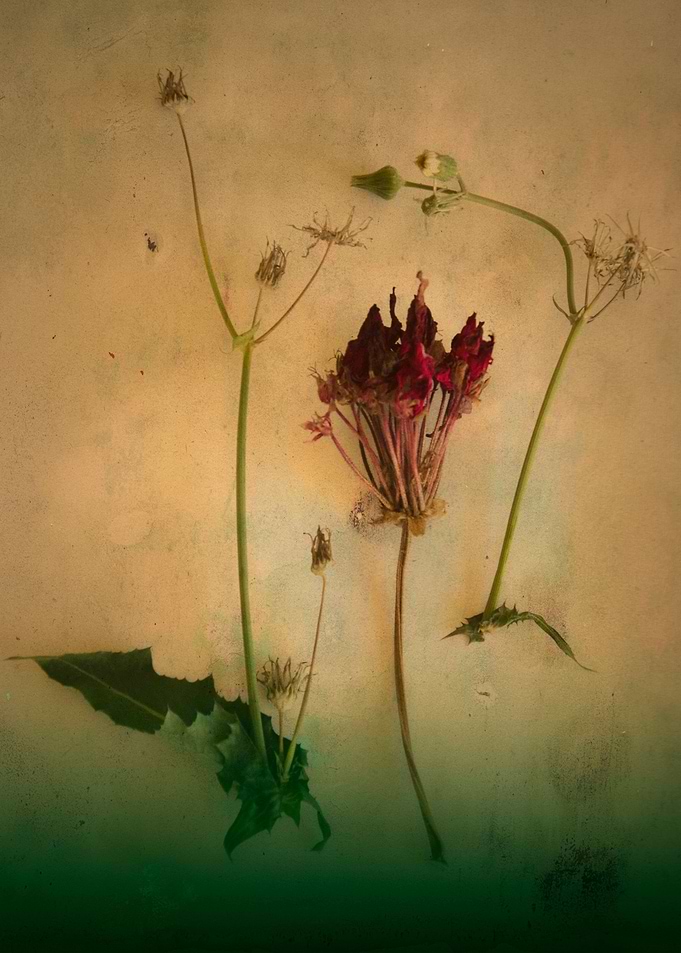 Vintage color photograph