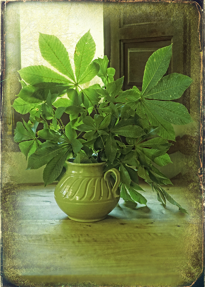 Green Bouquet