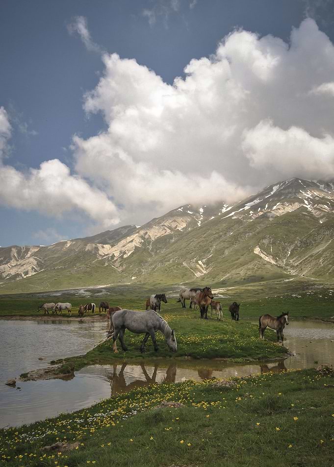 Little Tibet