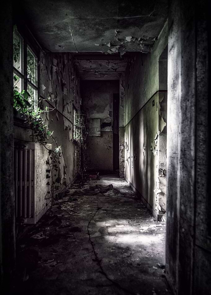 Asylum