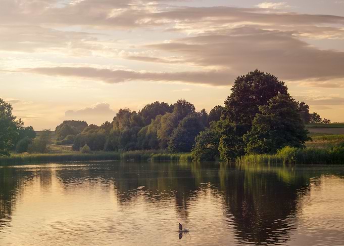 The Lake