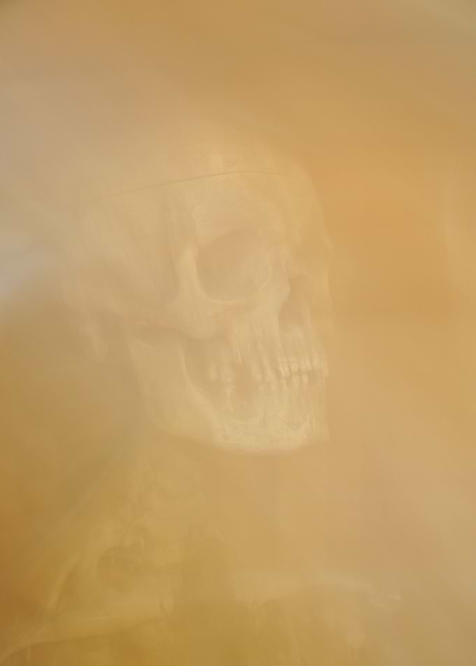 Human skull in soft smoke.