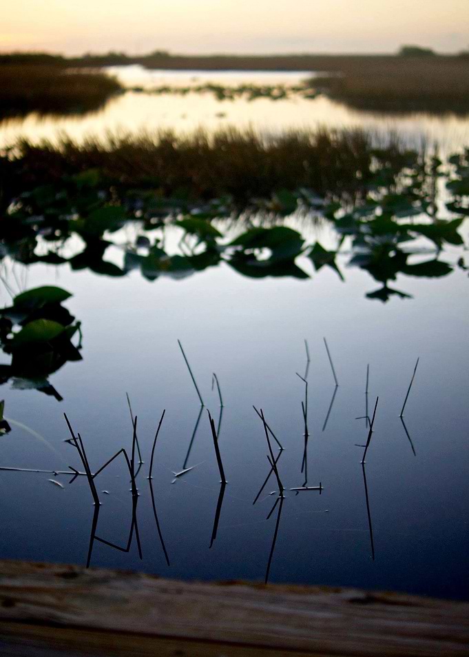 Sunset in the Everglades - Filmmaking Workshop BTS
