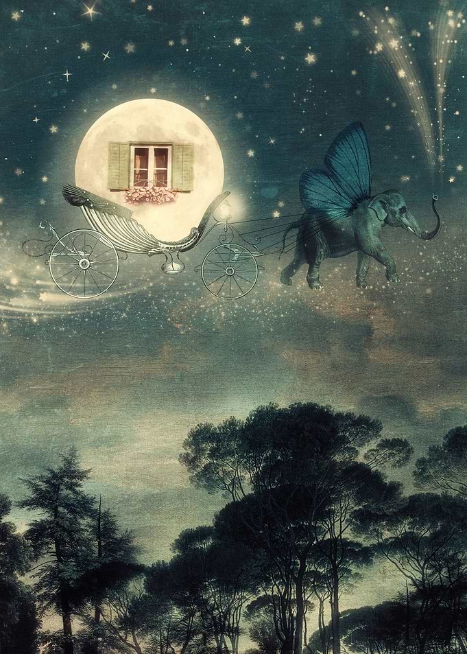 Moon Carriage