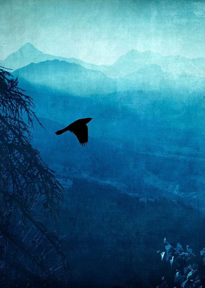 View of Italian alps on a hazy morning with a bird