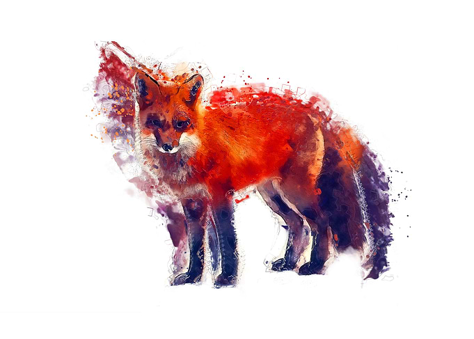 Fox