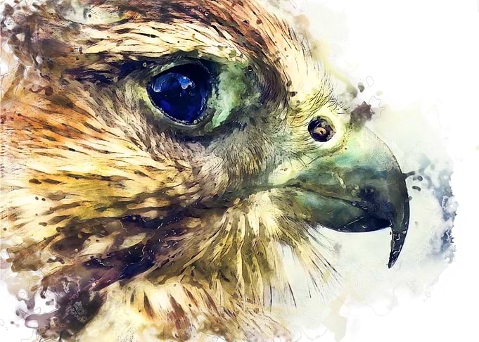 Kestrel