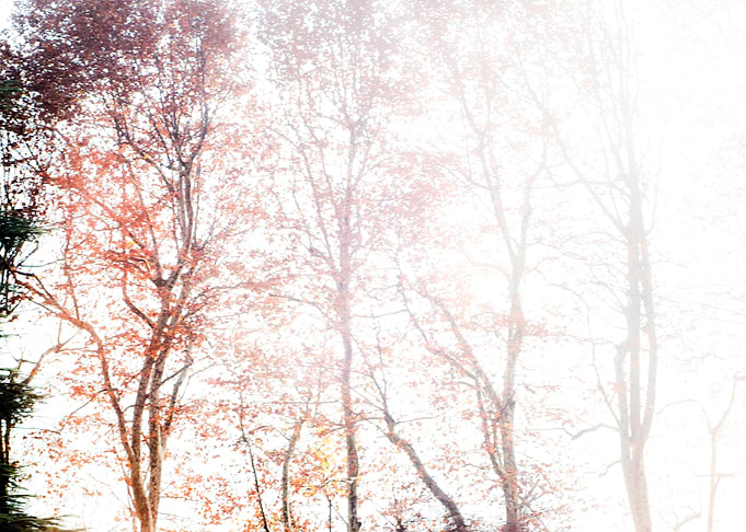 Autumn, Switzerland - 2013