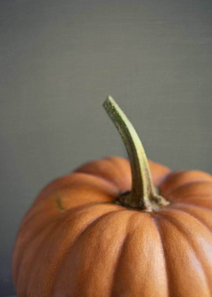 A detail of pumpink