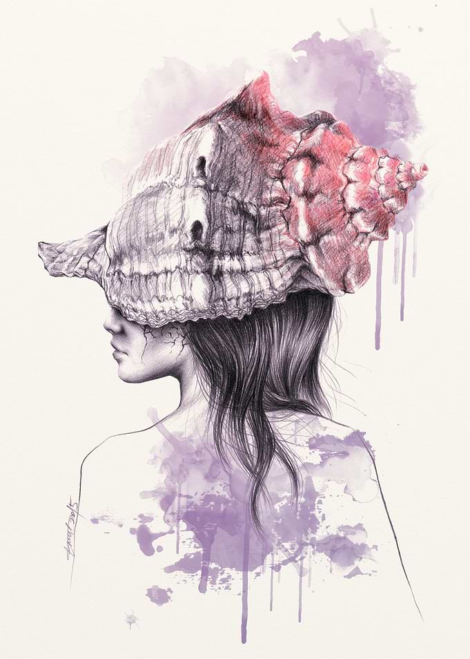 Inside my shell