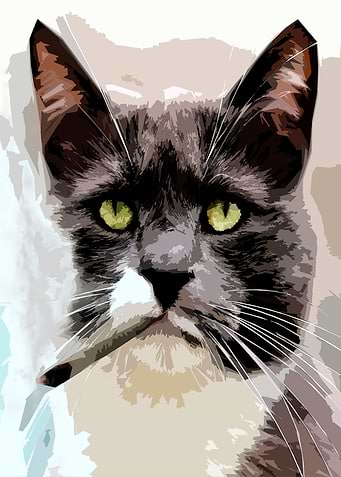 Smoking joint Cat