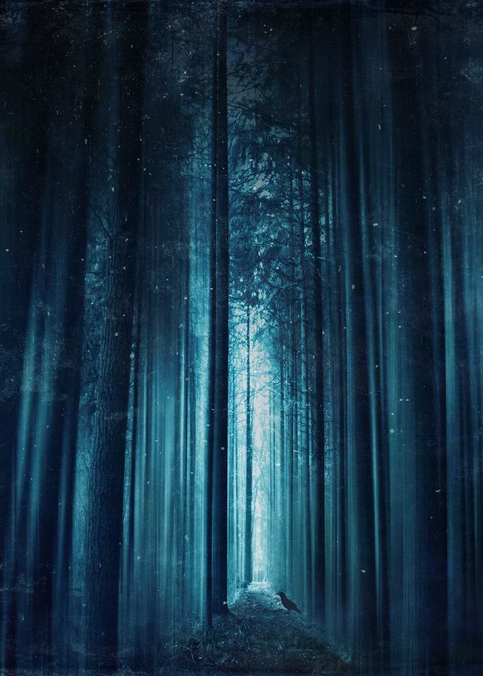 worse dreams - Abstract eerie forest scenery in deep bl ...