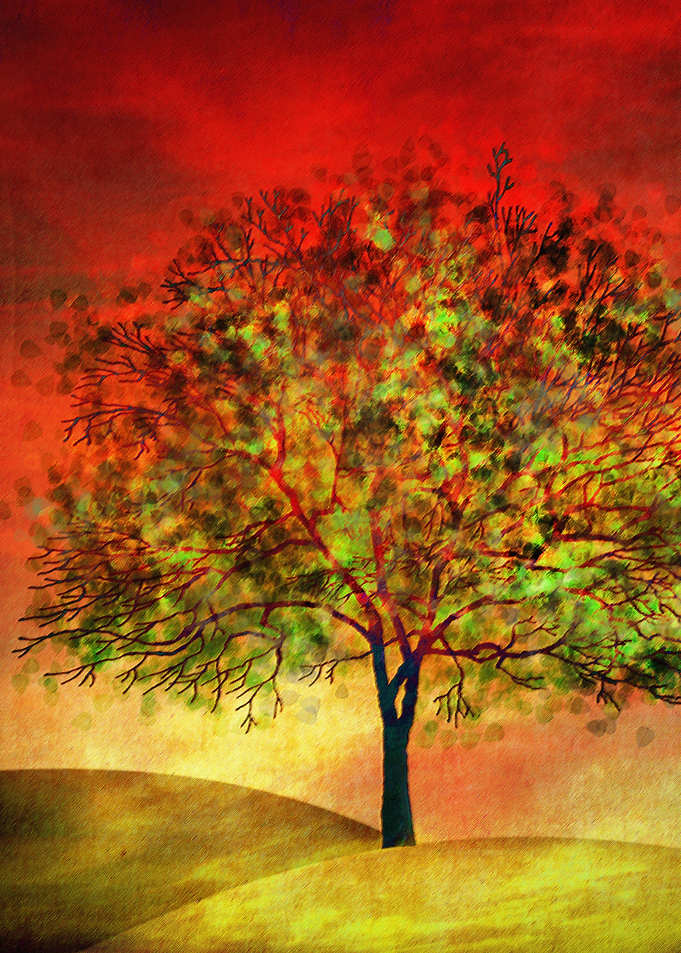 Tree at Sunset