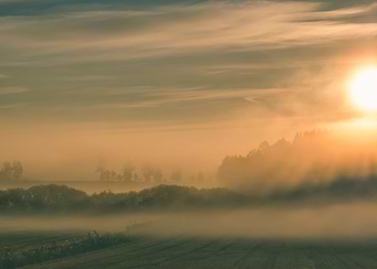 Foggy morning