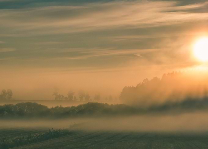 Foggy morning