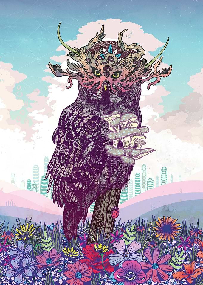 Journeying Spirit (Owl)