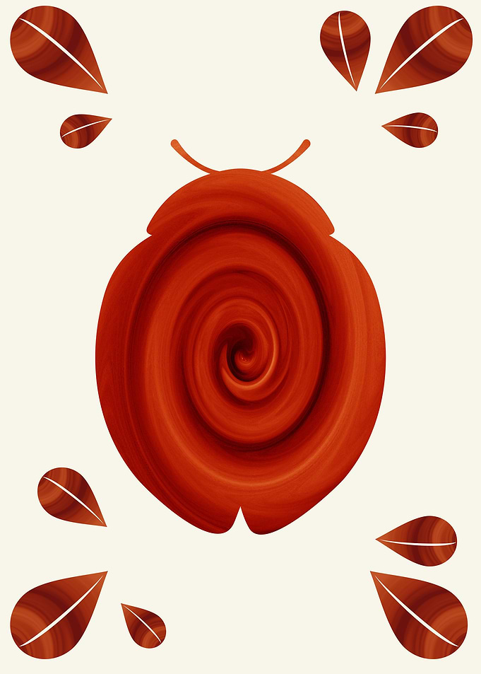 Bug