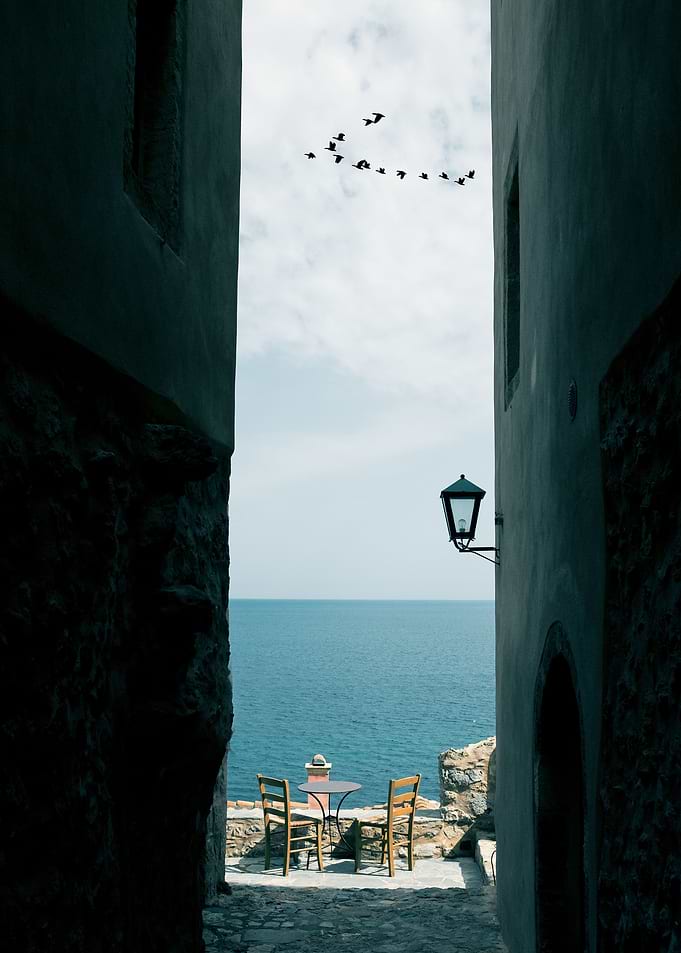 The View
