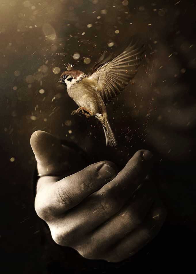 Go on be free