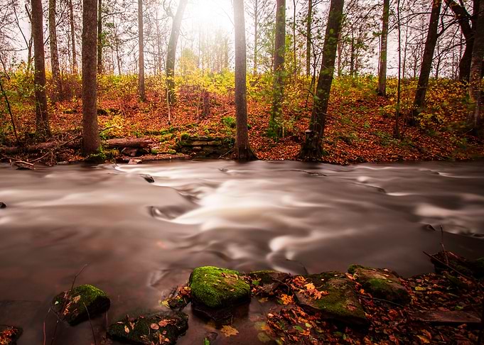 Autumn Stream