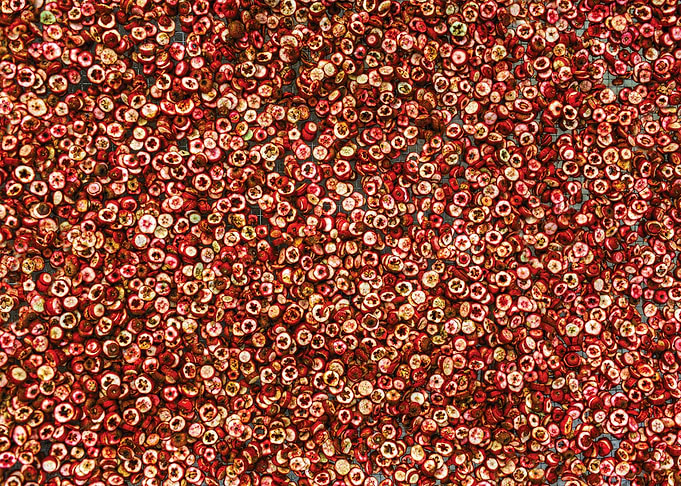 Red Fruit