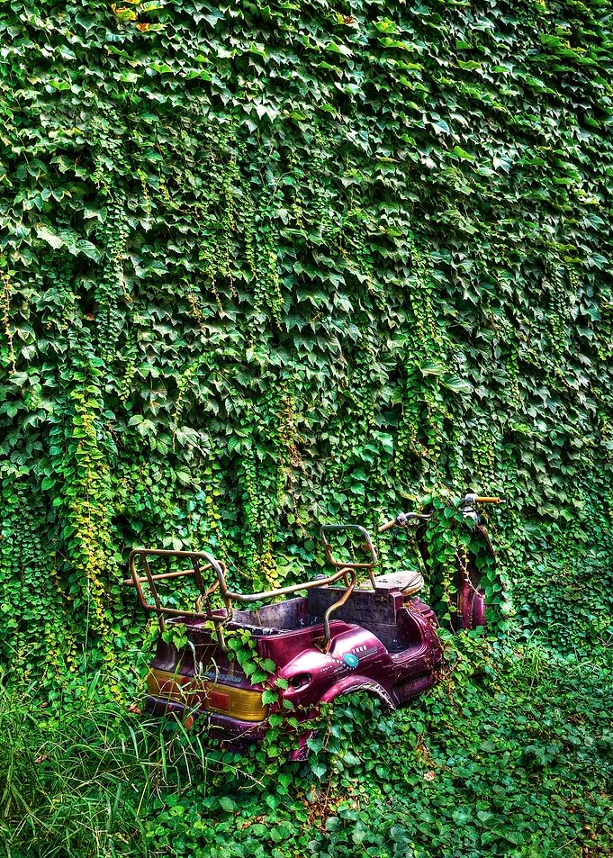 Green on Purple