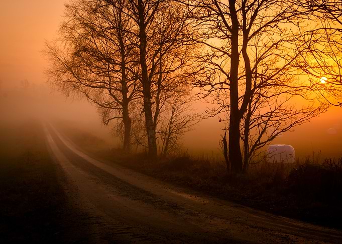 Countryside Dirtroad