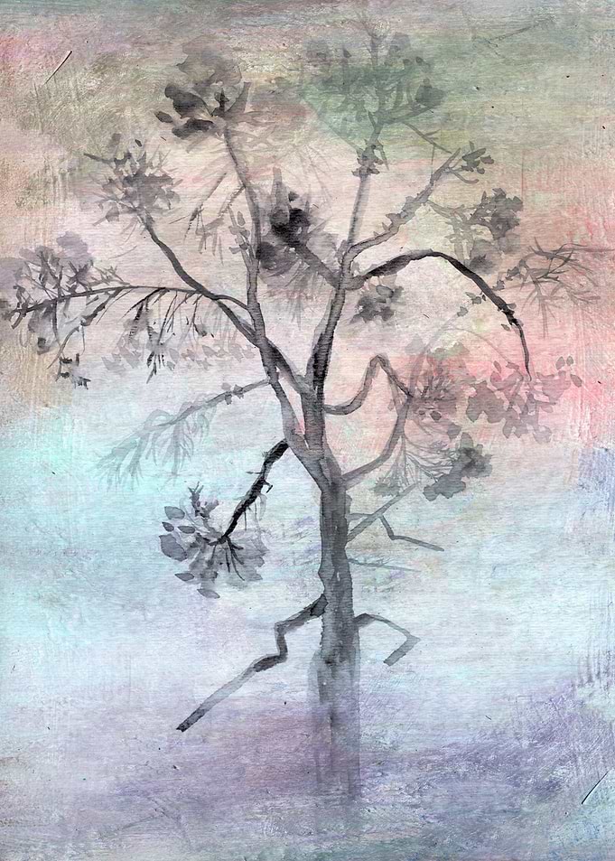 pine tree