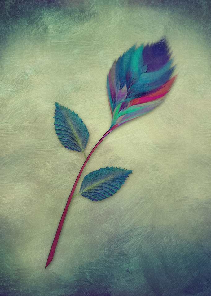 STRANGE FLOWER