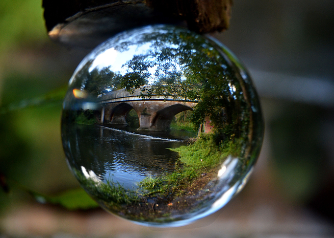 The Bridge