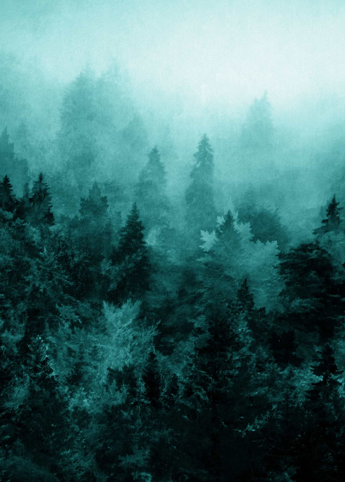 Fractal Forest