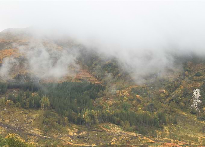 what if a keen of a lean wind flays screaming hills wi ...