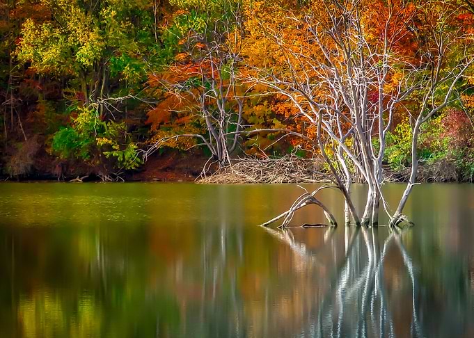 White Water Reflections