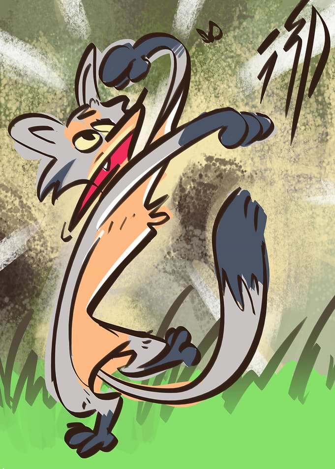 some grey fox