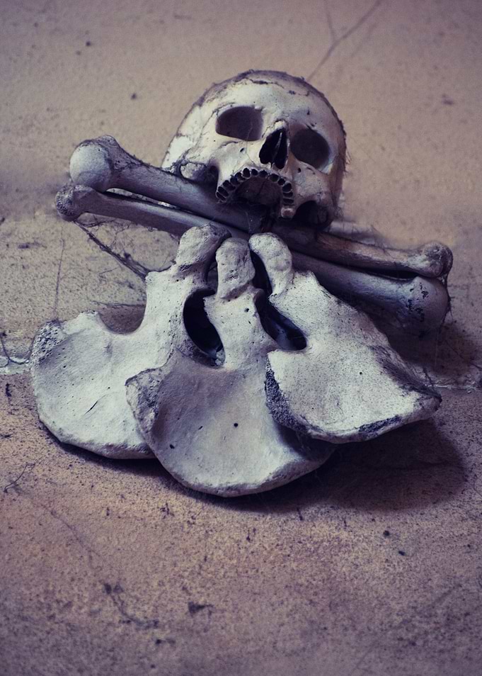 The art of bones
